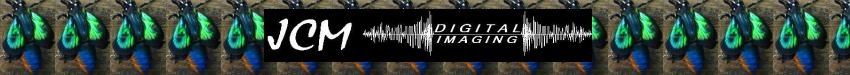 JCM Digital Imaging, based in Santa Clarita, California since 1992